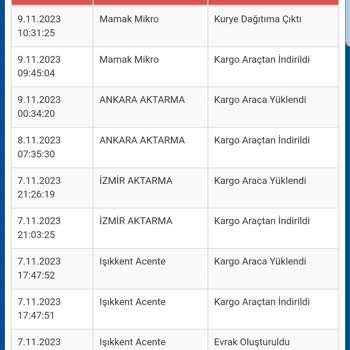 Sürat Kargo Kargonun Getirilmemesi, Mağduriyet L