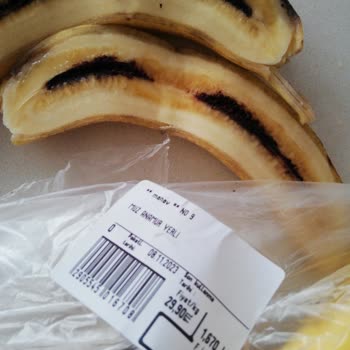 Gimsa İade Değişim Yapmıyor