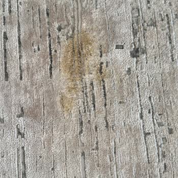 Artemis Halı Kalitesiz Halılar Ve Müşteri Memnuniyetsizliği