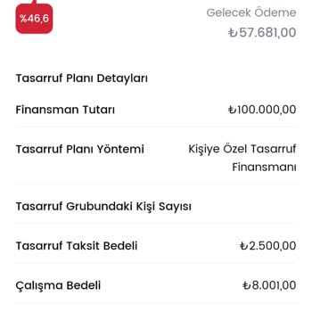 Birevim : Kesin Teslimatlı Projemin Teslimatını Yapmıyor