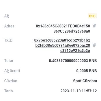 Bitexen Hesabıma Yolladığım Bnbler Gelmedi