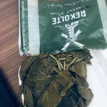 Rekolte Asma Yaprağından Böcek Çıktı!