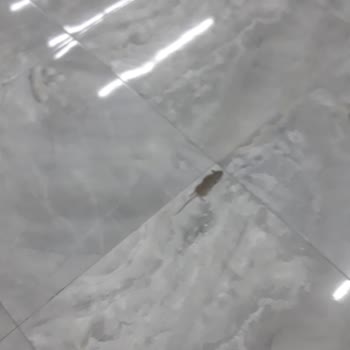 Erzurum Teknik Üniversitesi Fareler Bastı