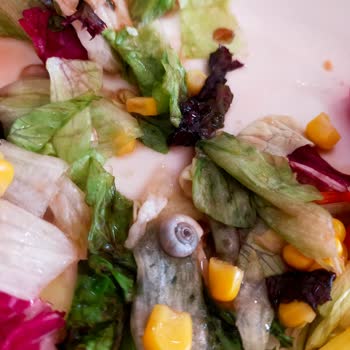 Capacity AVM Yemekten Çıkan Salyangoz