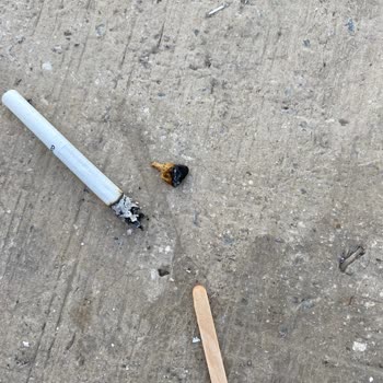 Philip Morris Sigaranın İçinden Odun Çıktı