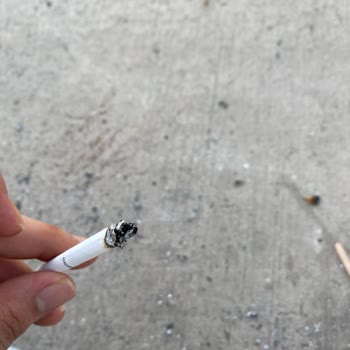 Philip Morris Sigaranın İçinden Odun Çıktı