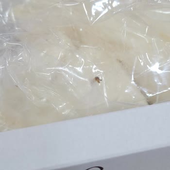 Kurtlu Ürün Makbul.