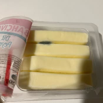 Bahçıvan Küflü Dil Peyniri