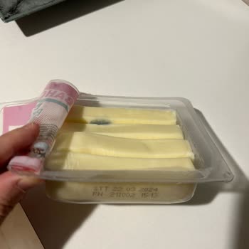 Bahçıvan Küflü Dil Peyniri