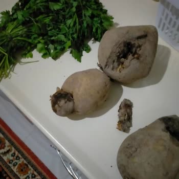 A101 Çürümüş ve Küflenmiş Ürün