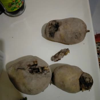 A101 Çürümüş ve Küflenmiş Ürün