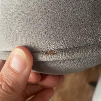 Mondihome Ürün Sıkıntısı Sigara Yanıklı Geldi