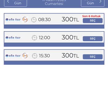 Efe Tur Fahiş Taksi Ücretleriyle Zorlu Yolculuk
