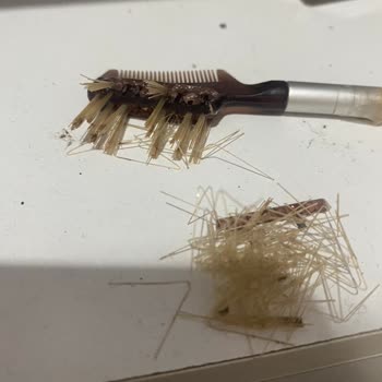 Gratis Eklips Kaş Fırçası Kırıldı Ve Kılları Döküldü