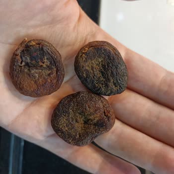 Dovido Marka Gün Kurusu Kayısı