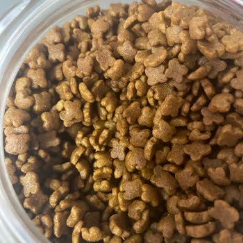 Hepsiburada Sipariş Ettiğim Royal Canin Kitten Bozuk Çıktı. İade Reddi