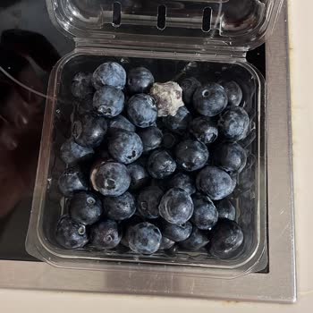 Getir Küflü Ürün Gönderdi