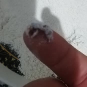 Tarım Kredi Kooperatif Market Fare Pisli Ki Karışmış Un