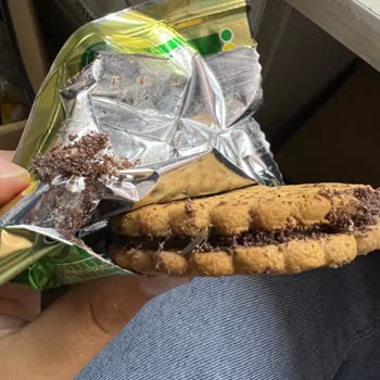 Ülker Bisküvinin İçine Böcek Yuva Yapmış Resmen