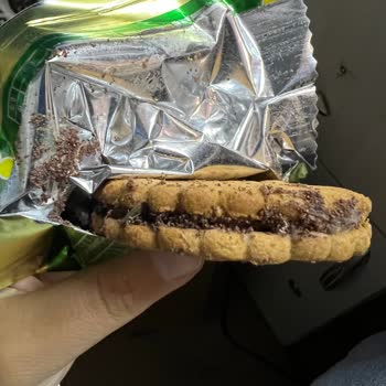 Ülker Bisküvinin İçine Böcek Yuva Yapmış Resmen