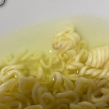 indomie Noodlenin İçinde Kurt
