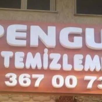 Penguen Kuru Temizleme Penguen Halı Yıkamada Halım Kayboldu