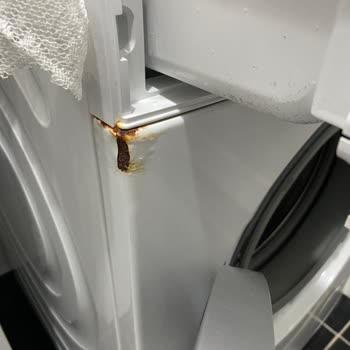 Siemens'in Paslanan Beyaz Eşyaları