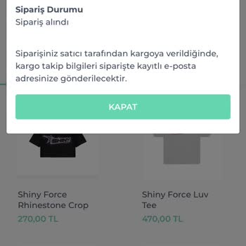 Shiny Force Kargo Takip Gecikmesi