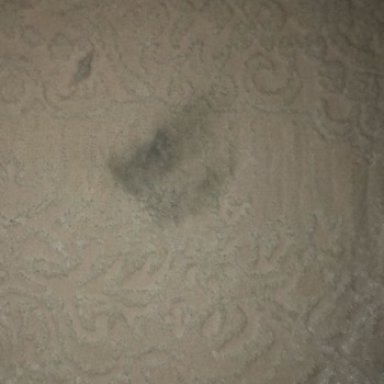 Teknosa Karcher Ürün Arıza İade Talebi