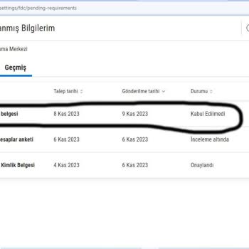 Payoneer İn Sürekli Beni Oyalaması Ve Beni Sistem Dışına İtmesi