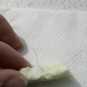 Efendioğulları Gıda Y***** E************* Tulumundan Kıl Çıktı