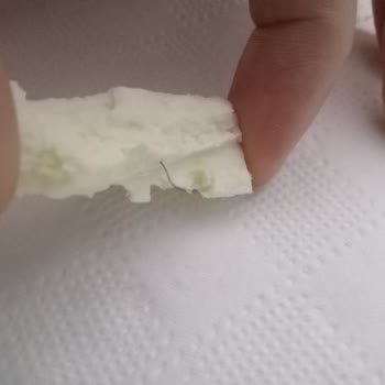 Efendioğulları Gıda Y***** E************* Tulumundan Kıl Çıktı