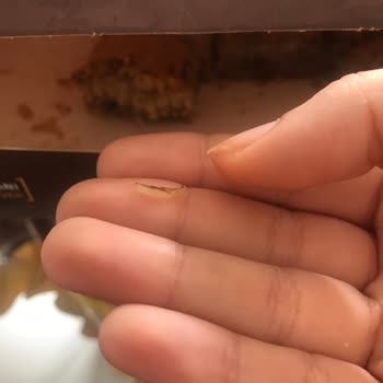 Alimoğlu Baklava Cevizli Baklavadan Tırnak Çıktı