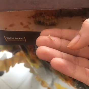 Alimoğlu Baklava Cevizli Baklavadan Tırnak Çıktı