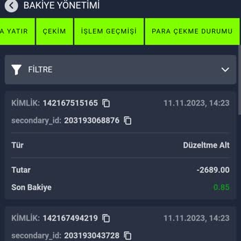Yinebet Bakiyemi 0 Yaptılar