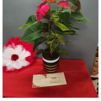 Çiçek Sepeti Çürümeye Yüz Tutmuş Bir Çiçek