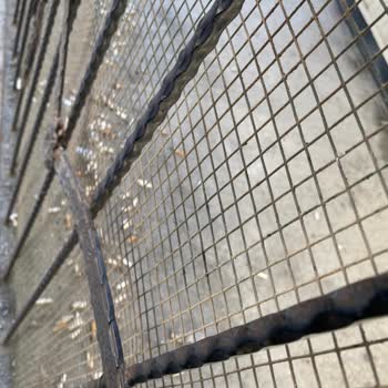 Adana Havaalanı Dış Hatlar Sigara İçme Alanı Temizlik Sorunu