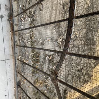 Adana Havaalanı Dış Hatlar Sigara İçme Alanı Temizlik Sorunu