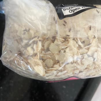 Migros Kurtlu Böcekli Yanlış Ürün