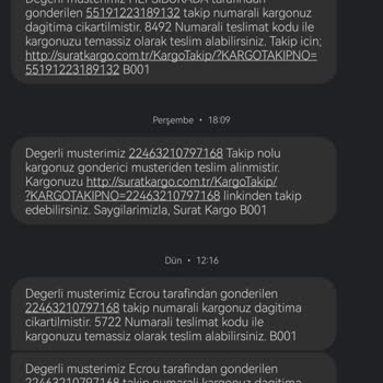 Sürat Kargo Ovacık Mikro Şubesi Kargomu Kaybetti