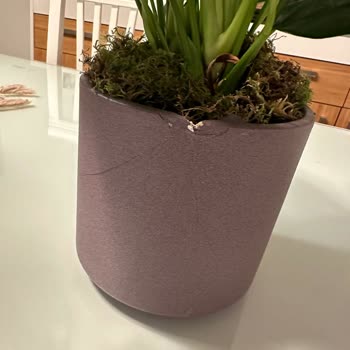 Bloom And Fresh Kırık Çiçek Saksısı