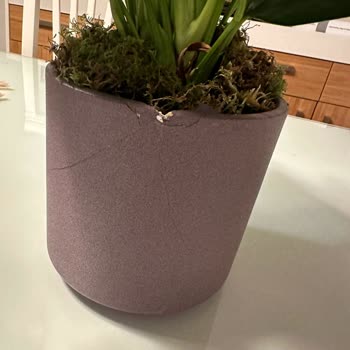 Bloom And Fresh Kırık Çiçek Saksısı