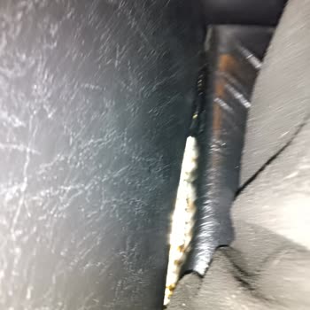 Cinema Pink Salonlarının Temizliği