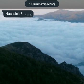 WhatsApp Numaramın İznim Dışında Başka Kişilere Aktarılması