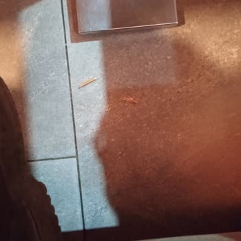 Baydöner Hijyen Sıfır Temizlik Yok