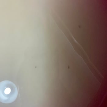 BİM'den Alınan Arpa Şehriyede Kurt Problemi