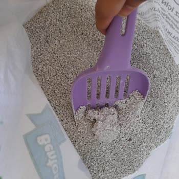 Temizkedikumu.com Kedi Kumu Skandalı