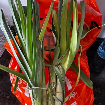 Migros Çürümüş Muz Ve Sararmış Pırasa...