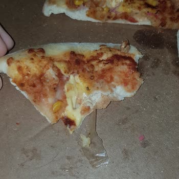 Domino's Pizza İçinden Poşet Parçası Çıktı