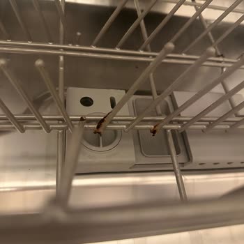 Teka 605 S Bulaşık Makinesi Sepeti Paslanma Korozyon Sorunu